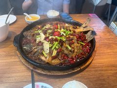 -老板恋上鱼(恒隆广场店)