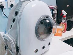 -纳吉亚猫专科动物医院博雅分院