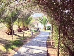 -世界恐龙谷景区