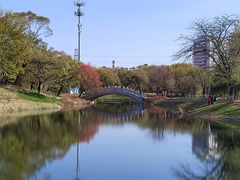 -万泉公园