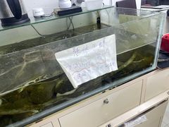 -诸暨珍珠市场