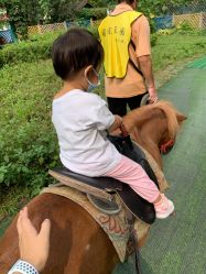 -萌宠亲子动物乐园(槐房万达店)