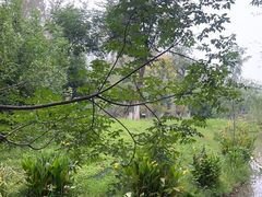 -合肥滨湖国家森林公园