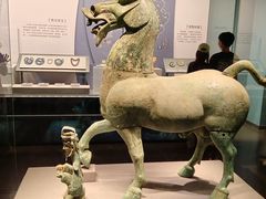 -广西壮族自治区博物馆