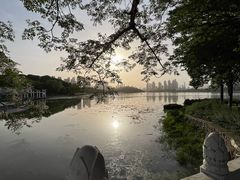 -月湖风景区