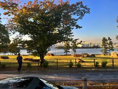 -台场海滨公园船码头