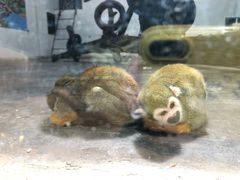 -西安秦岭野生动物园