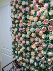 -变美丽半永久纹眉连锁·机器野生眉•洗眉