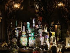 -雪灵魔法世界SHELLY’S TAROT(大良桂畔里店)
