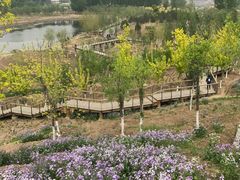 -东郊湿地公园