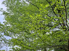 -南宁市凤岭儿童公园