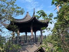 -杭州半山国家森林公园