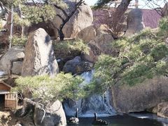 -罗红摄影艺术馆