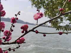 -东钱湖小普陀景区