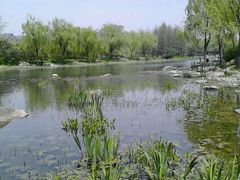 -新江湾城公园