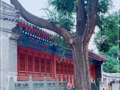 -法兴寺