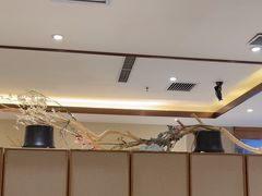 -星河湾温泉洗浴酒店