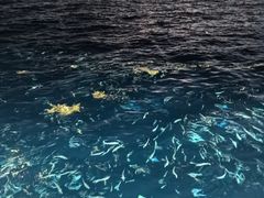 -小时候焗海鲜(鄞州万达店)