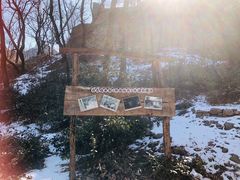 -井塘古村