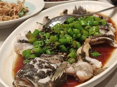 -新吉士·上海菜(浦东LCM置汇旭辉店)