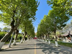 -四川大学(望江校区)