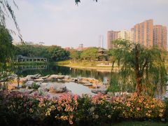 -四海公园(南山区)