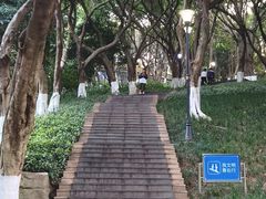 -龙头寺公园