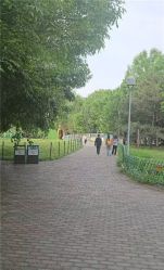 -吨儿熊自然探险乐园·儿童AR自然探索·家庭户外运动(奥林匹克森林公园店)