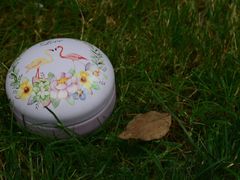 -麦雪尔甜品·生日蛋糕(新街口旗舰店)