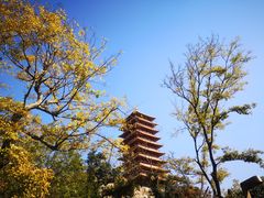 -牛首山文化旅游区