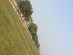 -湖南东洞庭湖国家级自然保护区