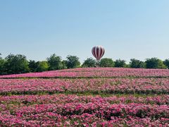 -歌斐颂巧克力小镇