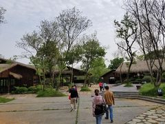 -盘龙城国家考古遗址公园