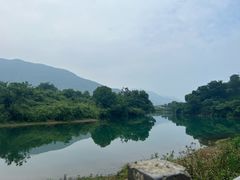 -龙坞茶村