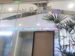 点击看大图 -玛莲朵·海菲秀冰珀科