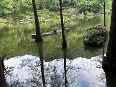 -深圳仙湖植物园