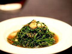 -子福慧(虹桥店)