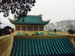 -武汉大学-樱园