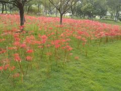 -白塘生态植物园