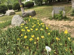-石家庄市植物园
