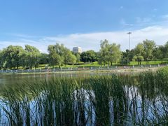 -长春世界雕塑园冰雪艺术天地