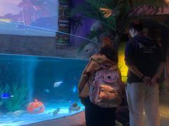 -沈阳海洋探索中心