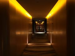 -苏州金鸡湖文博诺富特酒店