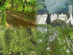 -敬亭山风景名胜区