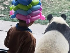 -西安秦岭野生动物园