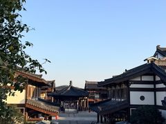 -大唐贡茶院