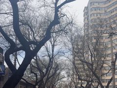 -模范书局诗空间