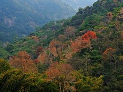 -祁门牯牛降观音堂风景区