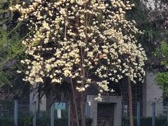 -木塔寺遗址生态公园