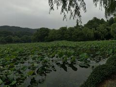 -雅鲁激流探险漂流